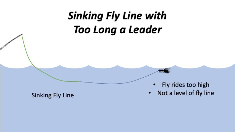 Best Fly Fishing Leaders for Smallmouth Bass - Wooly Buggin'